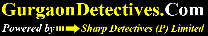 gurgaon detectives logo
